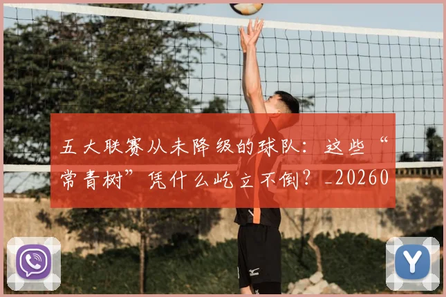 五大联赛从未降级的球队:这些“常青树”凭什么屹立不倒?_20260611141015