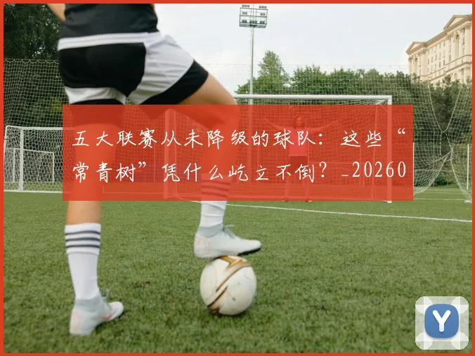 五大联赛从未降级的球队:这些“常青树”凭什么屹立不倒?_20260611141015