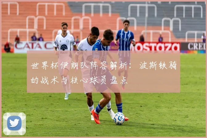 世界杯伊朗队阵容解析：波斯铁骑的战术与核心球员盘点